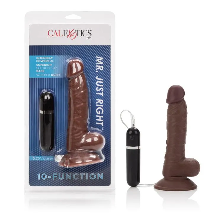 10-Function Mr. Just Right 5.25