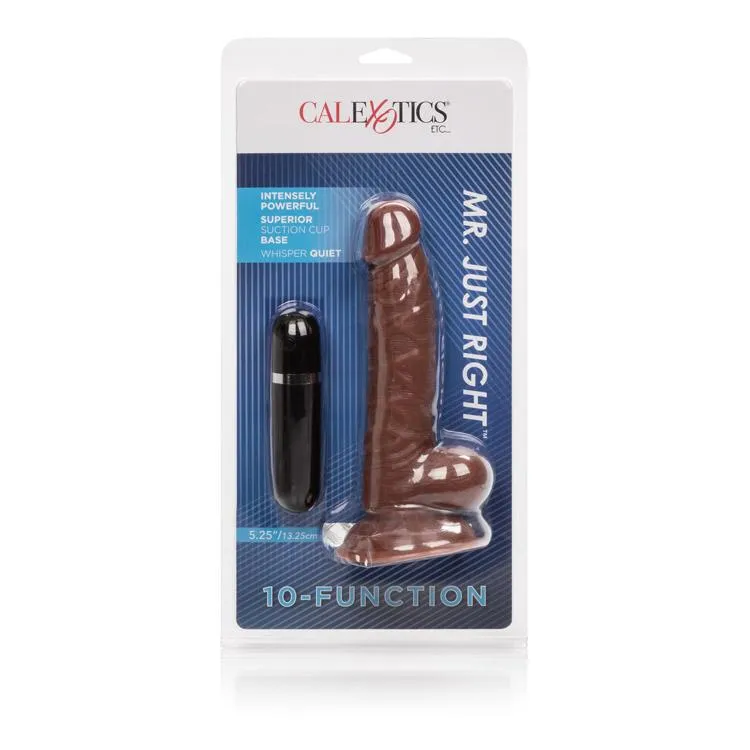 10-Function Mr. Just Right 5.25