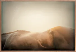 Antique California Chrome 2