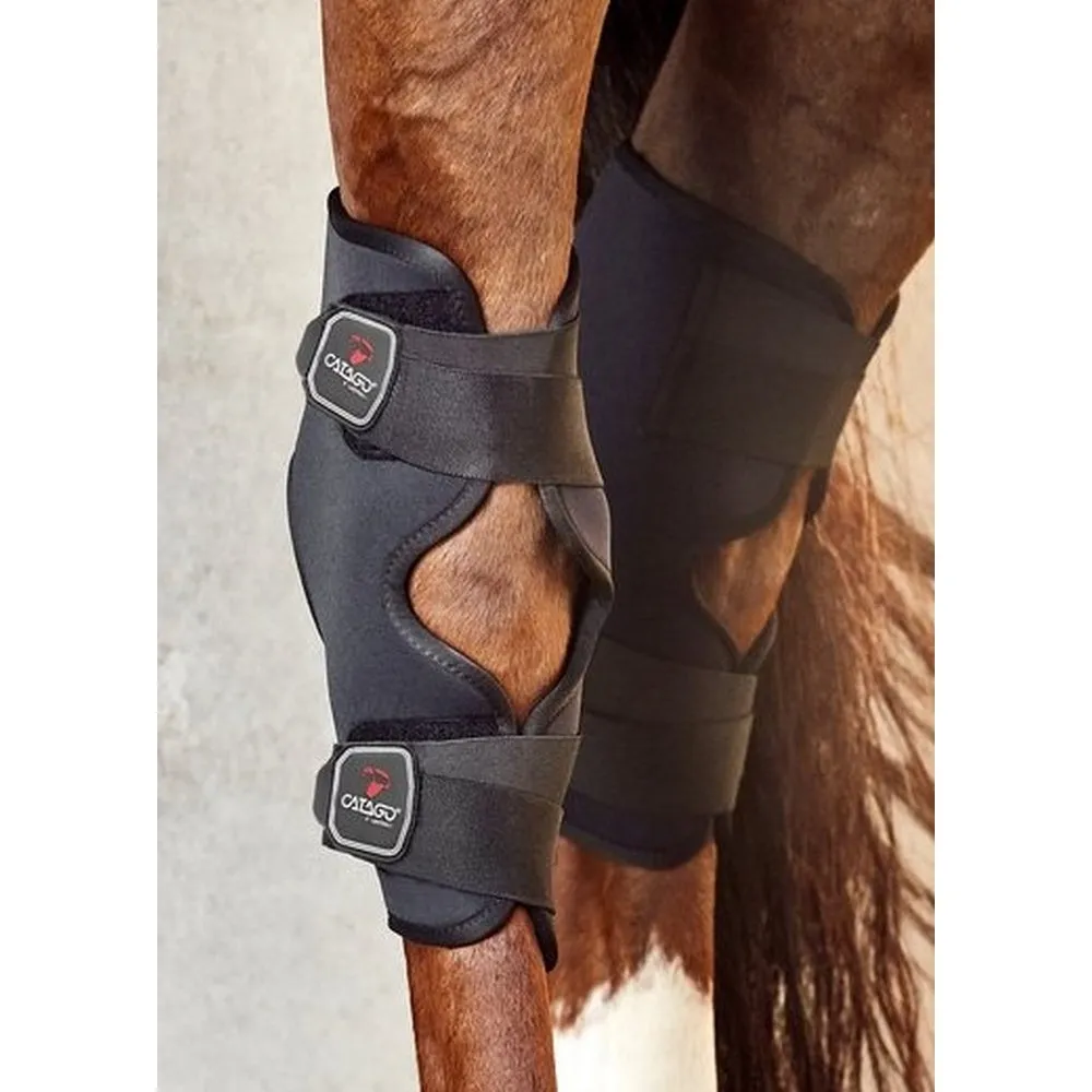 Catago FIR tech Hock boot black