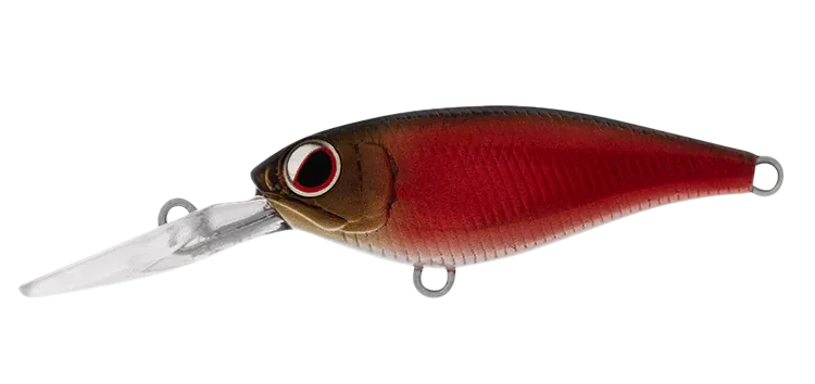 DAIWA Infeet Kodachi