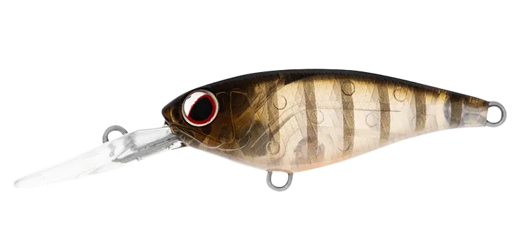 DAIWA Infeet Kodachi