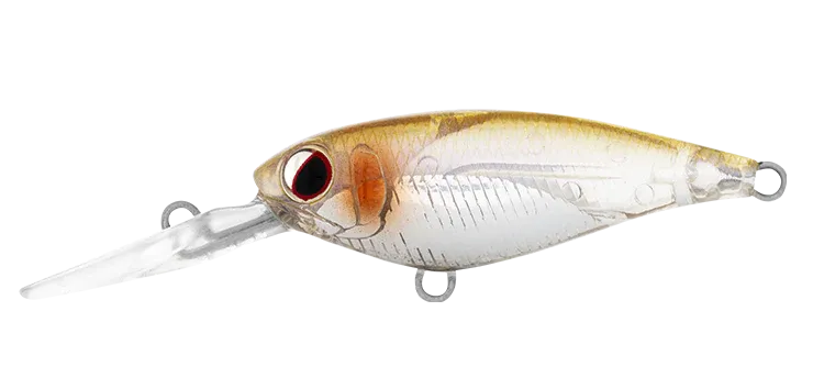 DAIWA Infeet Kodachi