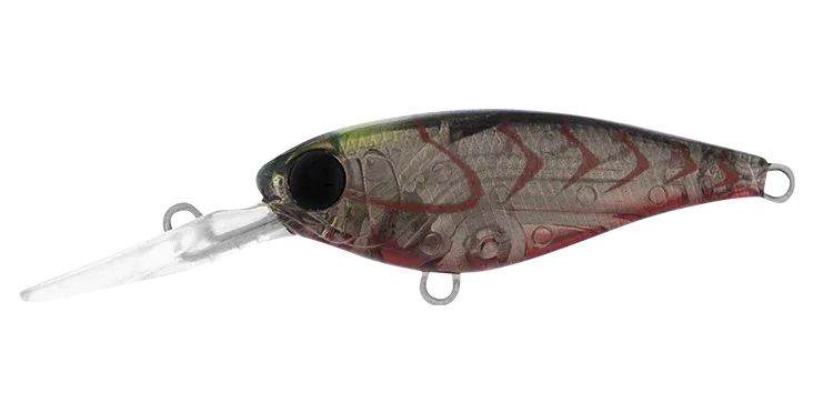 DAIWA Infeet Kodachi