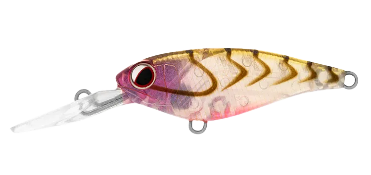 DAIWA Infeet Kodachi