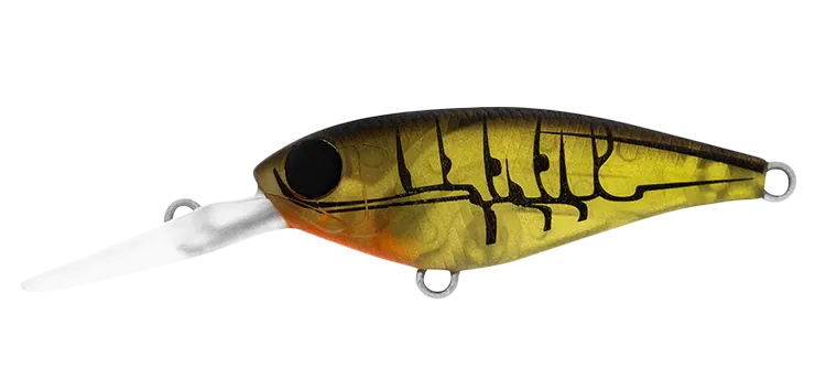 DAIWA Infeet Kodachi