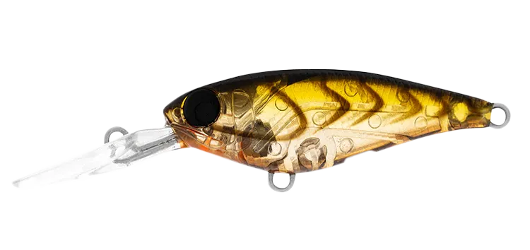 DAIWA Infeet Kodachi