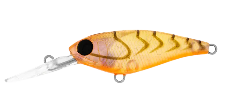 DAIWA Infeet Kodachi