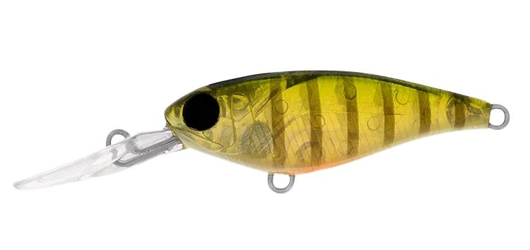 DAIWA Infeet Kodachi