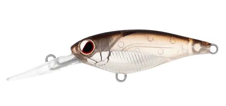 DAIWA Infeet Kodachi