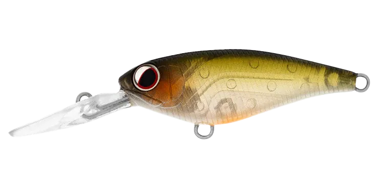 DAIWA Infeet Kodachi