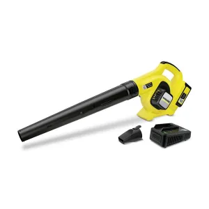 Garden Pumps Leaf Blower LBL 4 Battery Set *EU Karcher 14451600