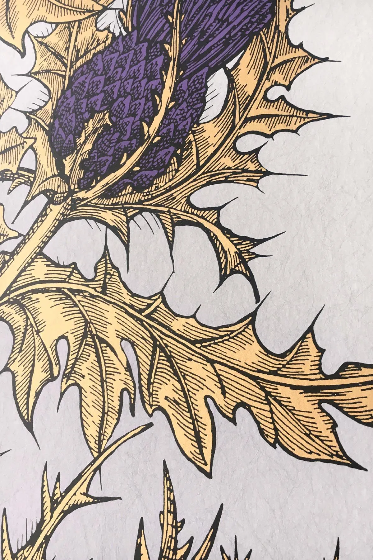grand thistle wallpaper