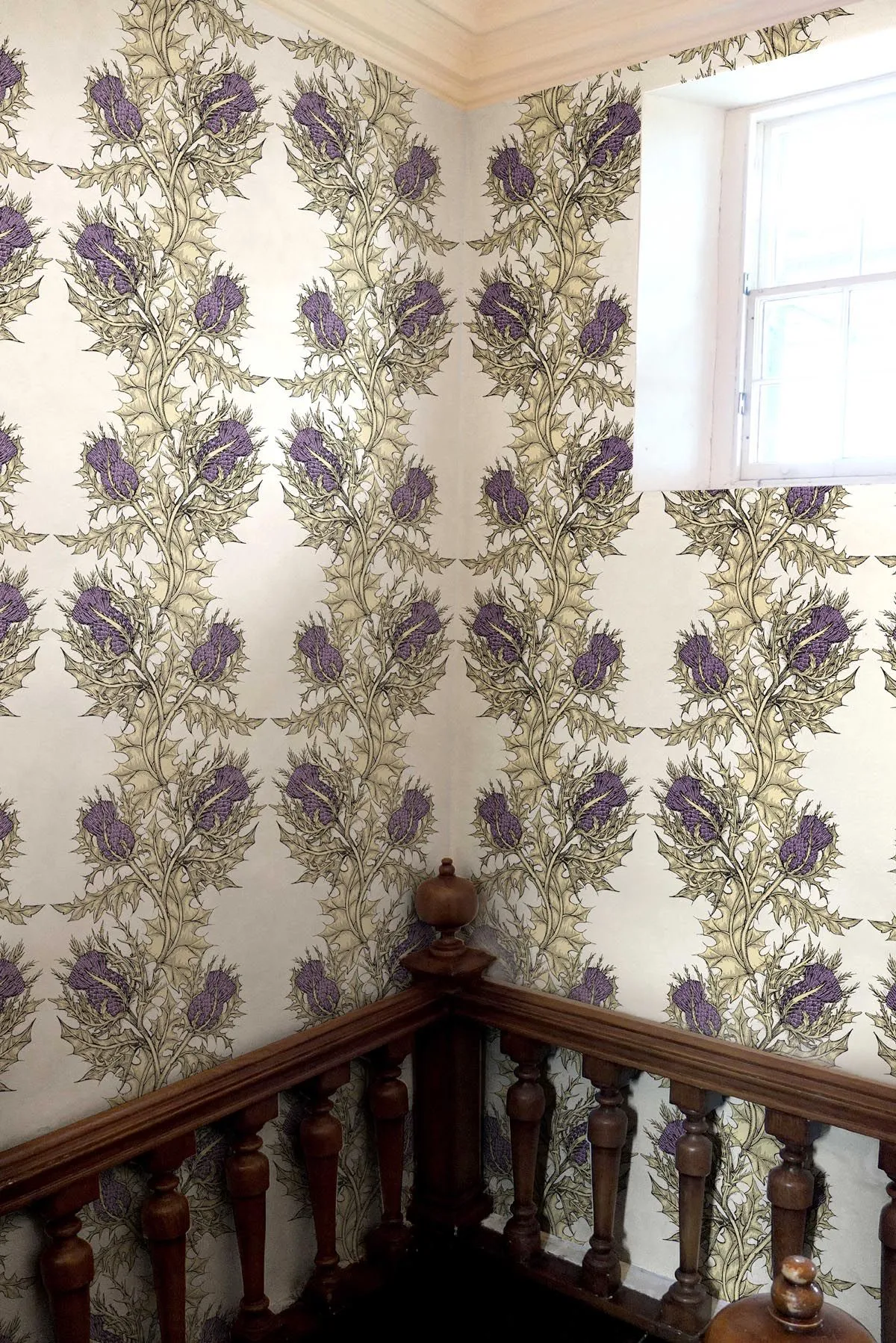 grand thistle wallpaper