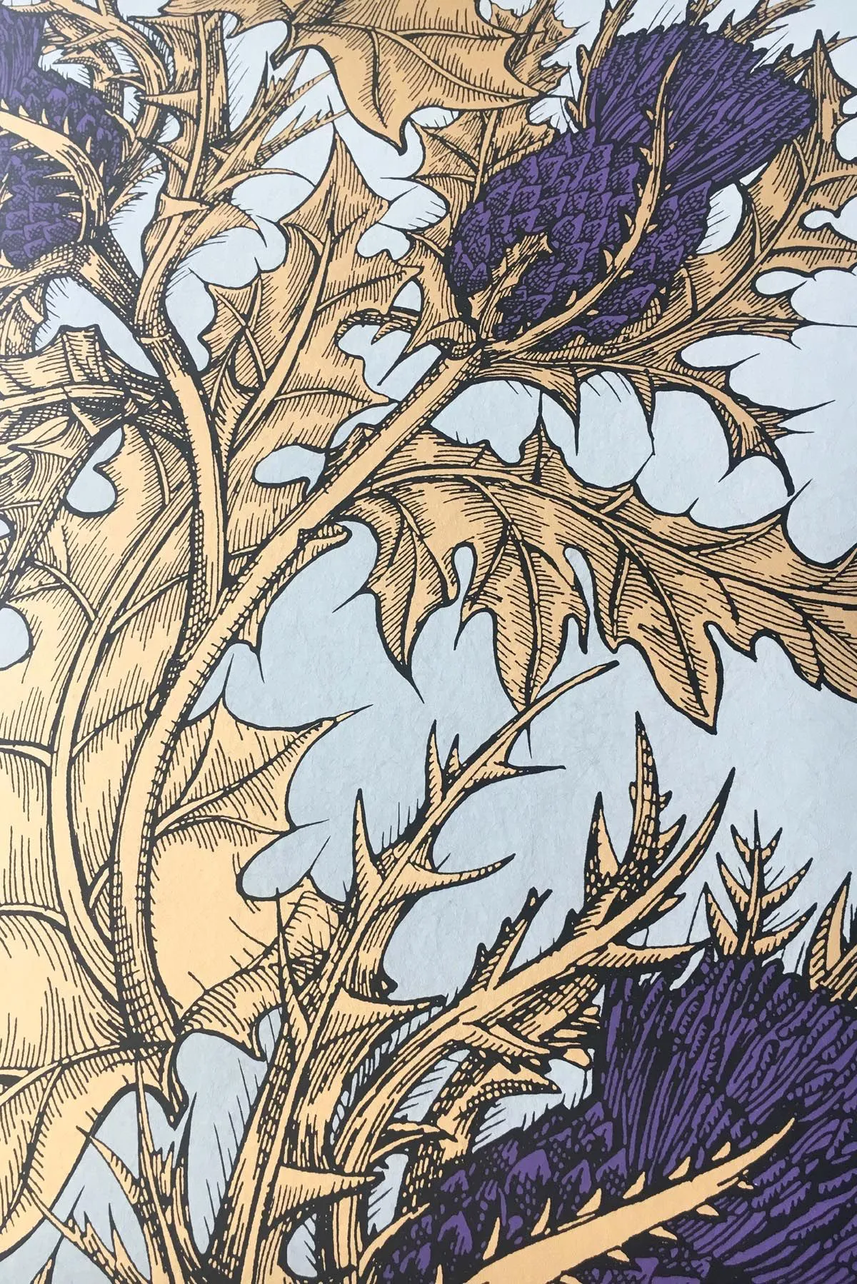 grand thistle wallpaper