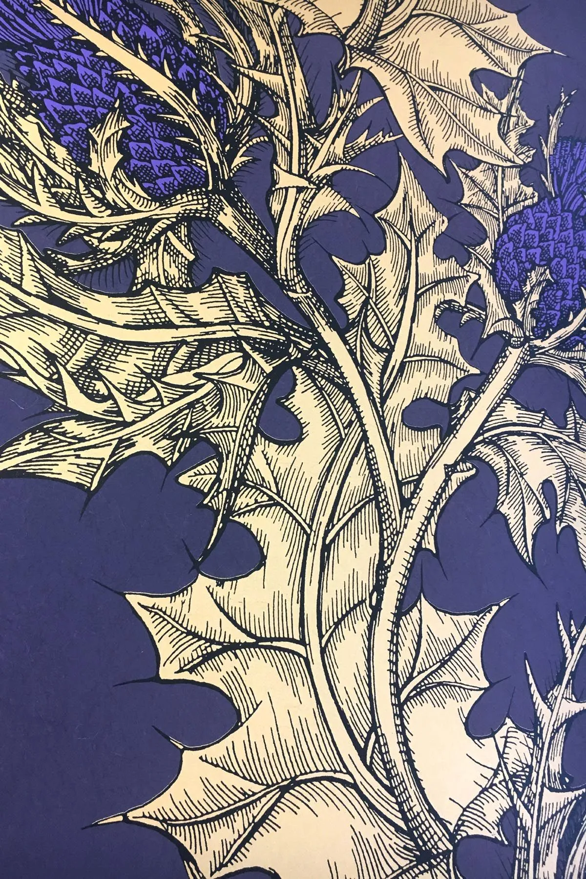 grand thistle wallpaper