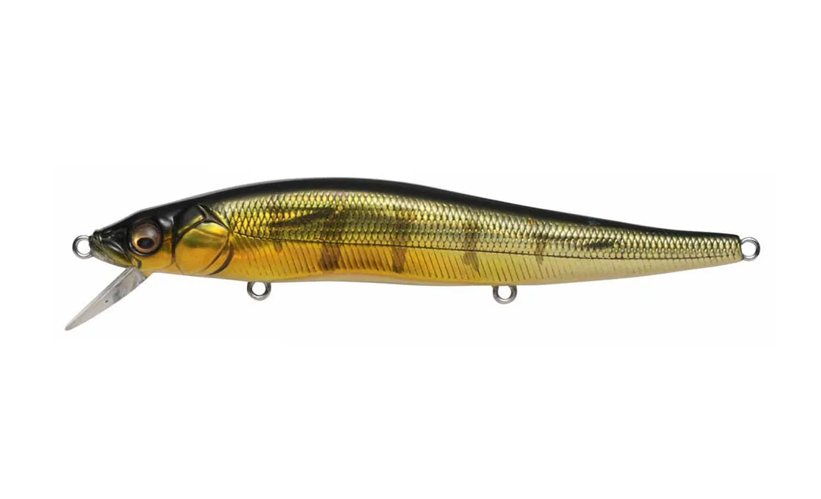 Megabass Vision Oneten