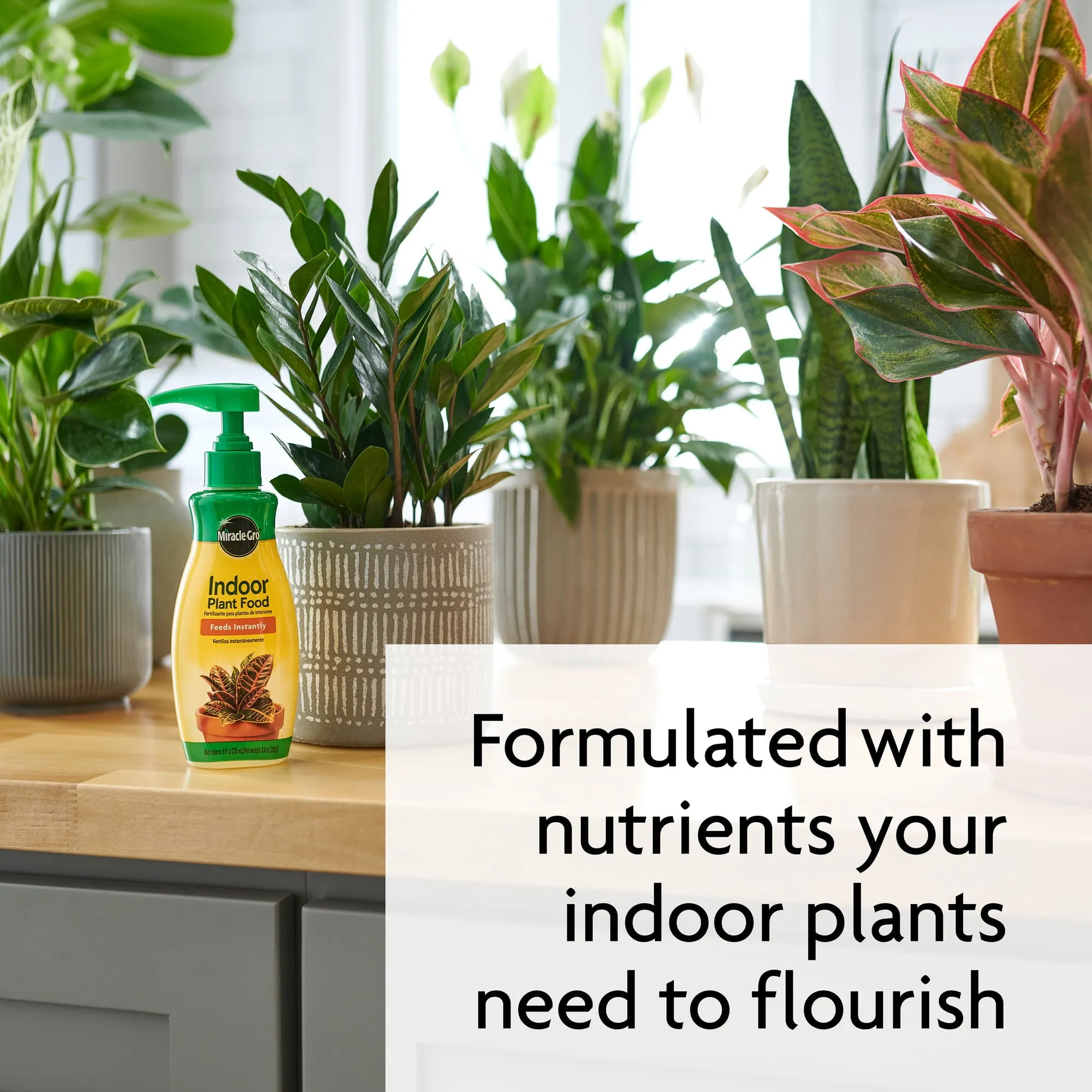Miracle-Gro Indoor Plant Food, Liquid Fertilizer for Plants, 8 Fl. Oz.
