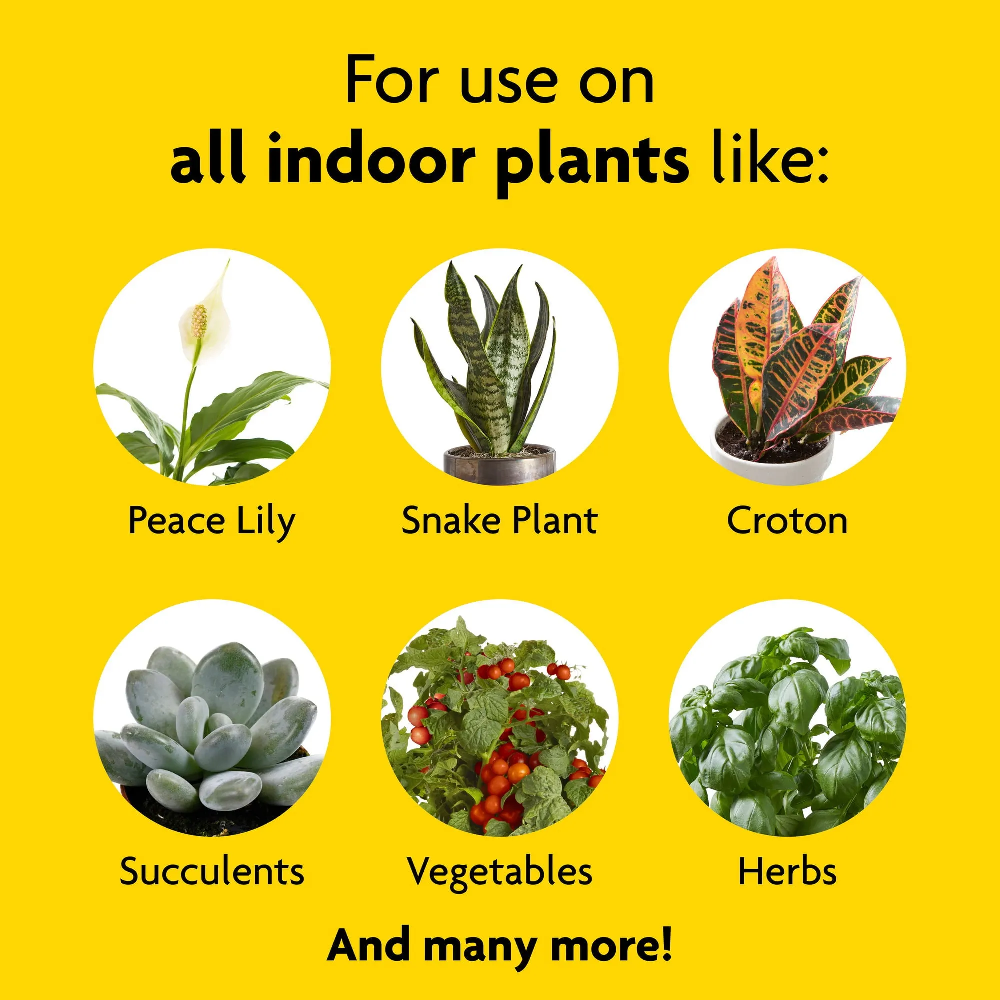 Miracle-Gro Indoor Plant Food, Liquid Fertilizer for Plants, 8 Fl. Oz.