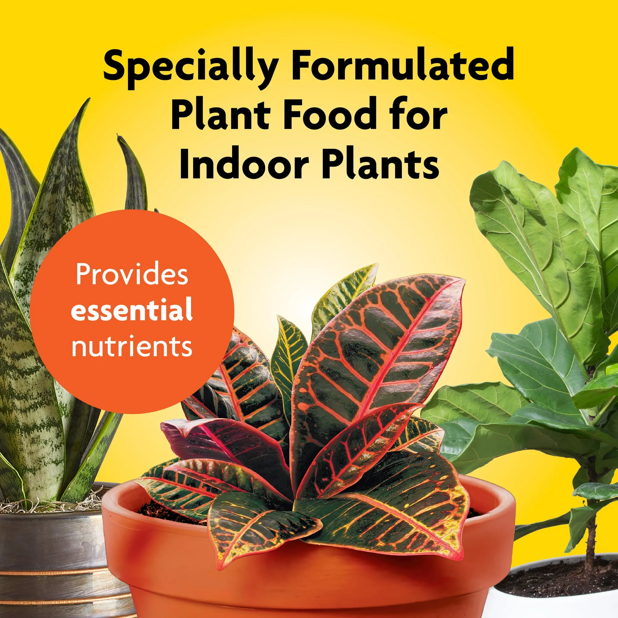 Miracle-Gro Indoor Plant Food, Liquid Fertilizer for Plants, 8 Fl. Oz.
