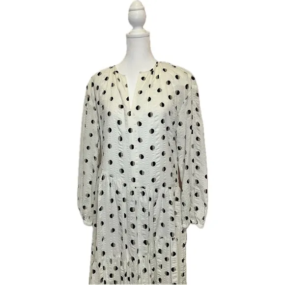 Nordstrom Half Moon/Polka Dot Dress