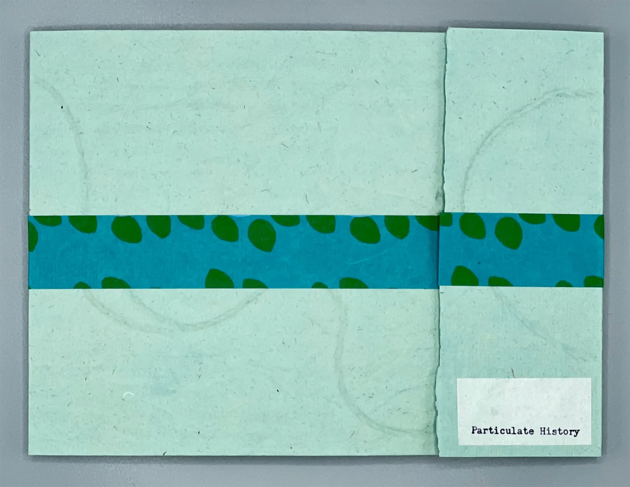Particulate History by Rachel Simmons
