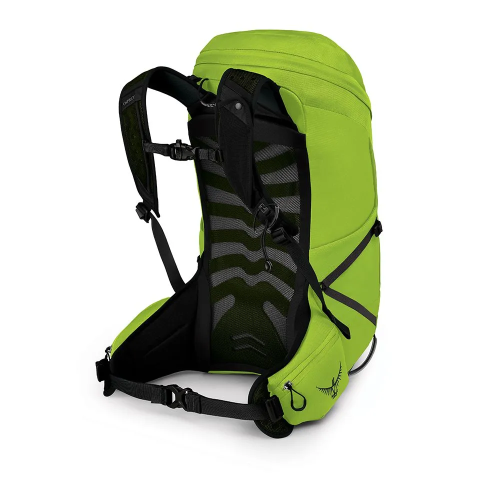 Talon 26