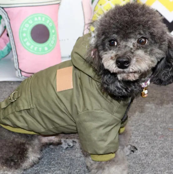 Winter Puppy Jacket With Hoodie