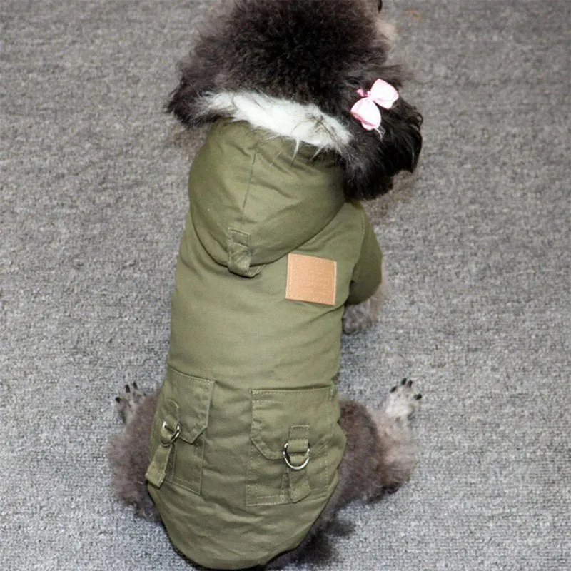 Winter Puppy Jacket With Hoodie
