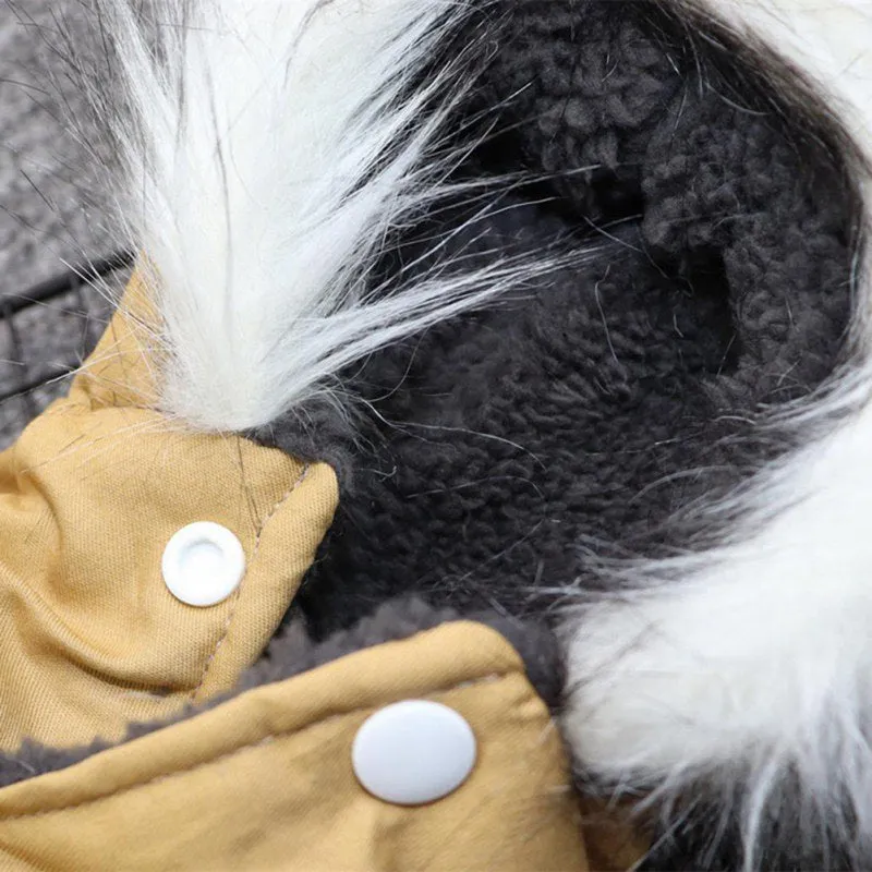 Winter Puppy Jacket With Hoodie