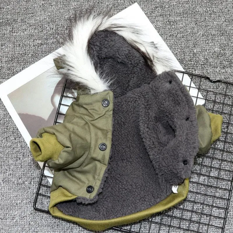 Winter Puppy Jacket With Hoodie