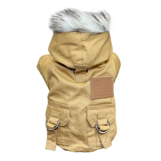 Winter Puppy Jacket With Hoodie