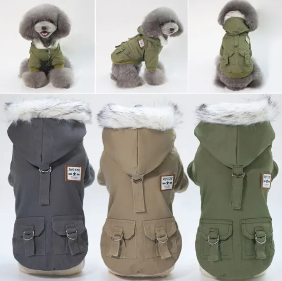 Winter Puppy Jacket With Hoodie